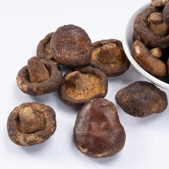 مشروم مجفف مقرمش