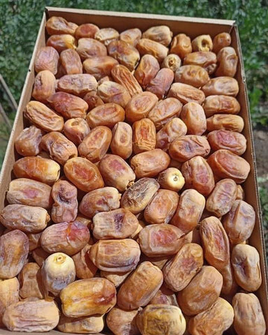 تمر رشودية