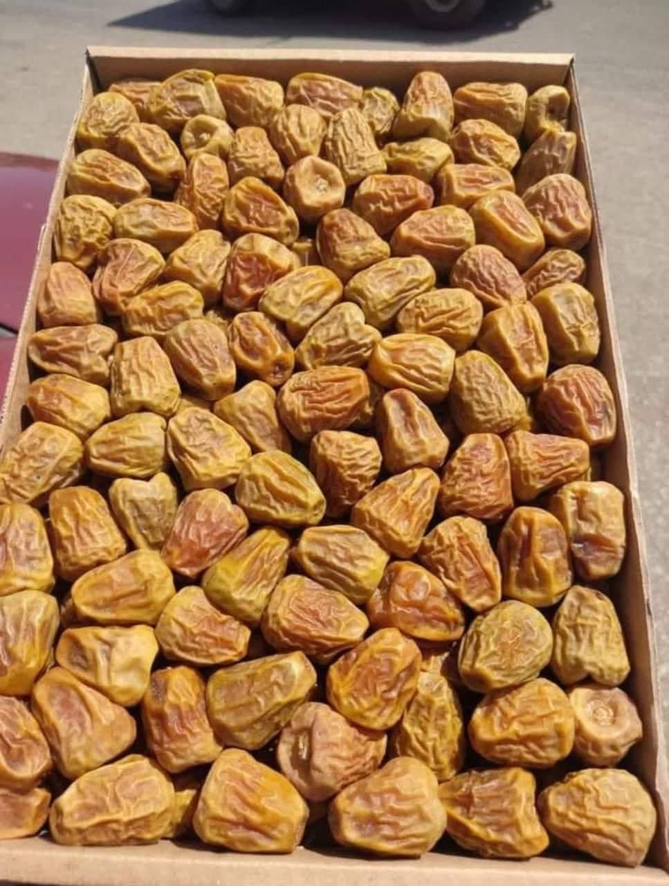 عروض خاصة | مفتل ملكي