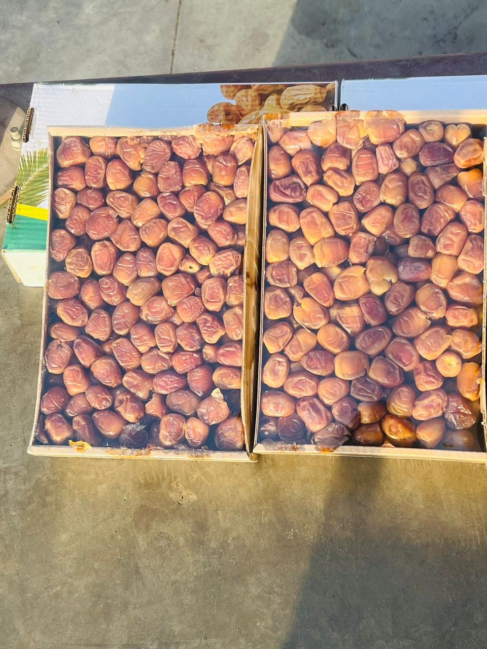 تمر سكري رطب ملكي