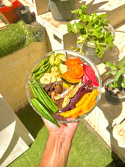 خضار مجفف مقرمش ( كلاسيك)